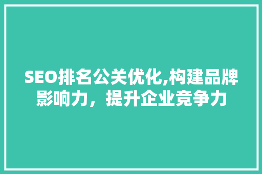 SEO排名公关优化,构建品牌影响力，提升企业竞争力