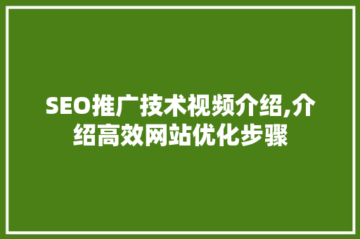 SEO推广技术视频介绍,介绍高效网站优化步骤