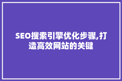 SEO搜索引擎优化步骤,打造高效网站的关键
