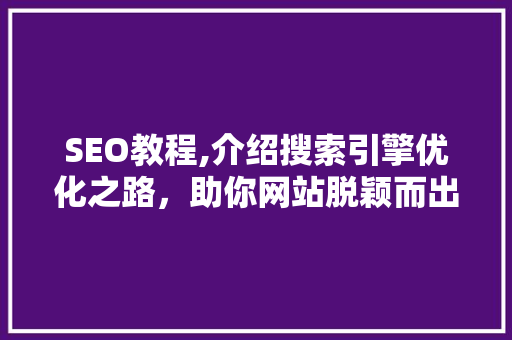 SEO教程,介绍搜索引擎优化之路，助你网站脱颖而出