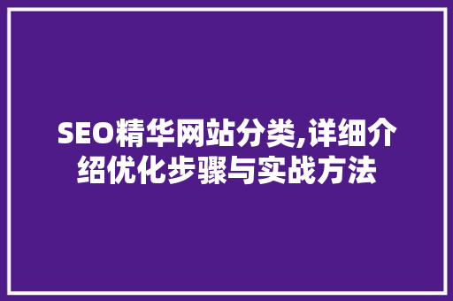 SEO精华网站分类,详细介绍优化步骤与实战方法