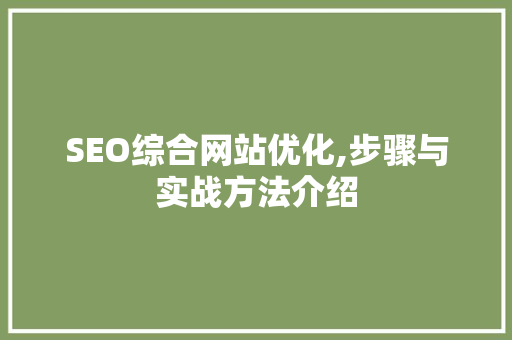 SEO综合网站优化,步骤与实战方法介绍  第1张