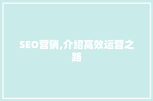 SEO营销,介绍高效运营之路