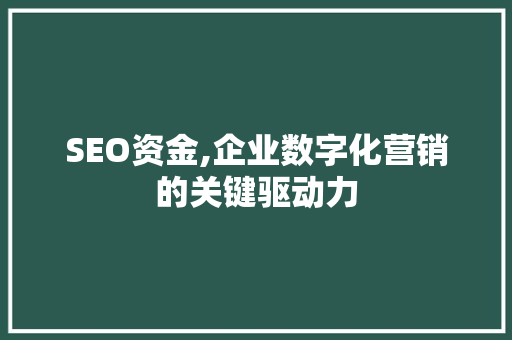 SEO资金,企业数字化营销的关键驱动力