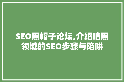 SEO黑帽子论坛,介绍暗黑领域的SEO步骤与陷阱  第1张