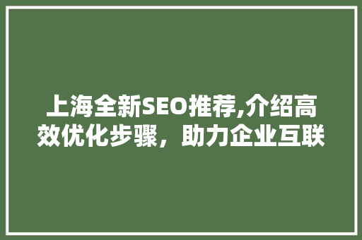 上海全新SEO推荐,介绍高效优化步骤，助力企业互联网腾飞