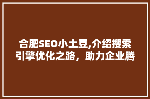 合肥SEO小土豆,介绍搜索引擎优化之路，助力企业腾飞