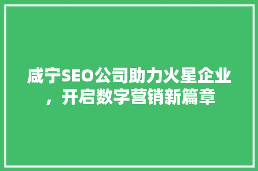 咸宁SEO公司助力火星企业，开启数字营销新篇章