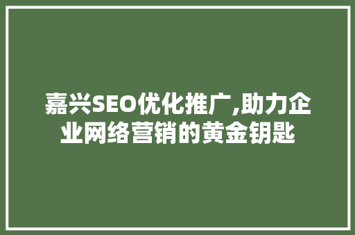 嘉兴SEO优化推广,助力企业网络营销的黄金钥匙