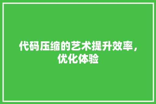 代码压缩的艺术提升效率，优化体验