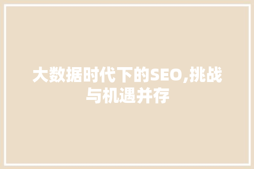 大数据时代下的SEO,挑战与机遇并存