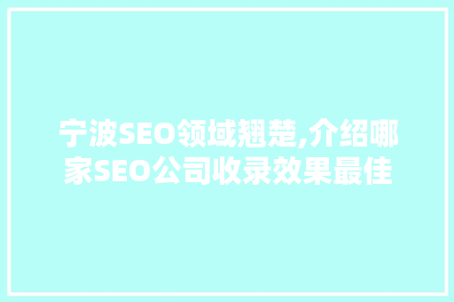 宁波SEO领域翘楚,介绍哪家SEO公司收录效果最佳