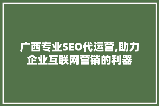 广西专业SEO代运营,助力企业互联网营销的利器