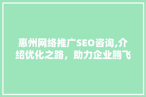 惠州网络推广SEO咨询,介绍优化之路，助力企业腾飞
