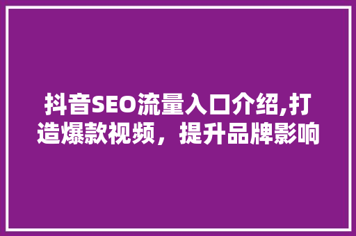 抖音SEO流量入口介绍,打造爆款视频，提升品牌影响力的方法