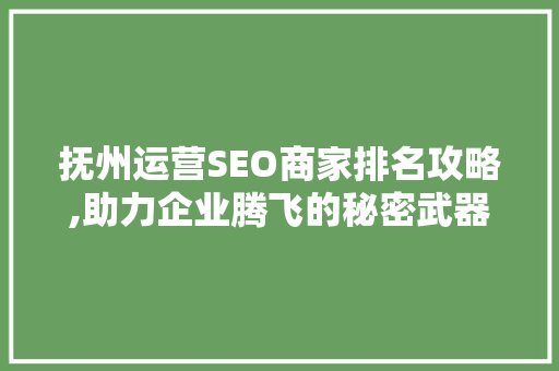 抚州运营SEO商家排名攻略,助力企业腾飞的秘密武器