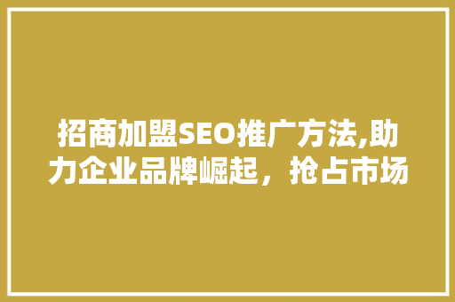 招商加盟SEO推广方法,助力企业品牌崛起，抢占市场先机
