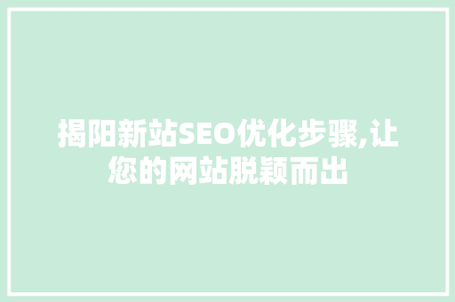 揭阳新站SEO优化步骤,让您的网站脱颖而出