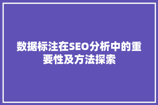 数据标注在SEO分析中的重要性及方法探索