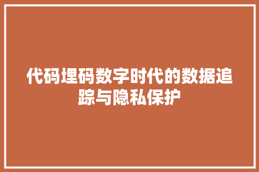 代码埋码数字时代的数据追踪与隐私保护