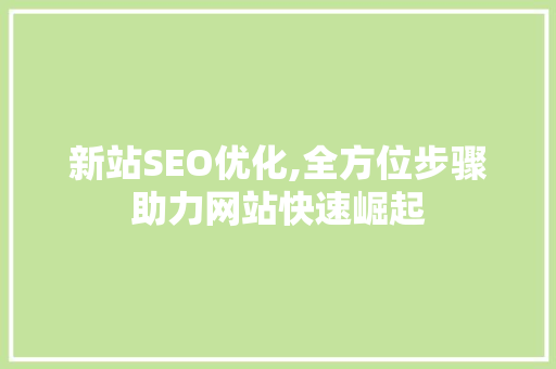 新站SEO优化,全方位步骤助力网站快速崛起