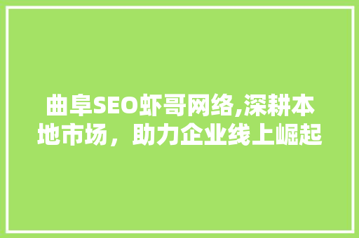 曲阜SEO虾哥网络,深耕本地市场，助力企业线上崛起
