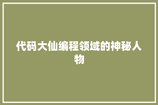 代码大仙编程领域的神秘人物