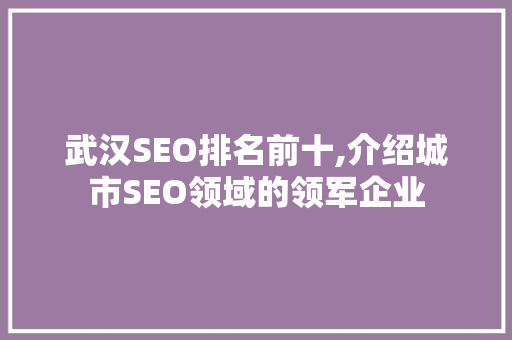 武汉SEO排名前十,介绍城市SEO领域的领军企业