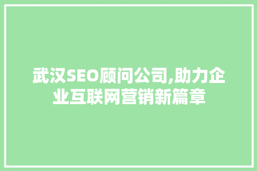 武汉SEO顾问公司,助力企业互联网营销新篇章