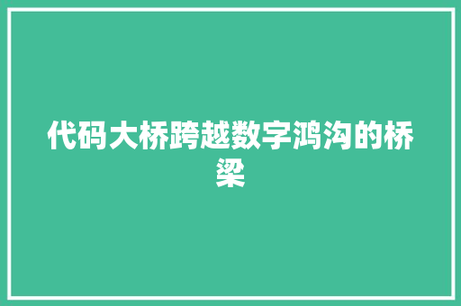 代码大桥跨越数字鸿沟的桥梁