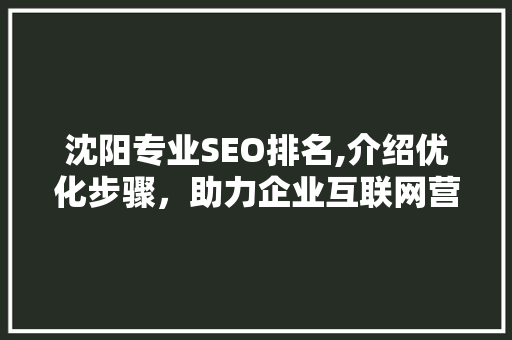 沈阳专业SEO排名,介绍优化步骤，助力企业互联网营销腾飞