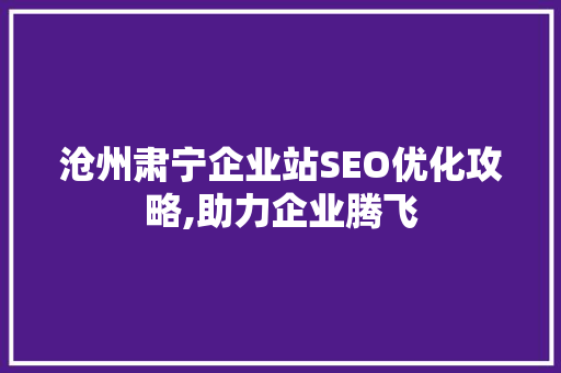 沧州肃宁企业站SEO优化攻略,助力企业腾飞