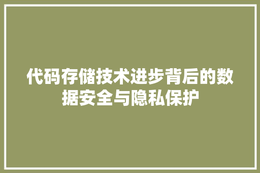 代码存储技术进步背后的数据安全与隐私保护