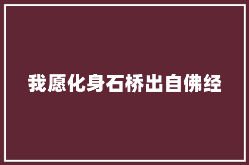 海曙区商用全网SEO优化,提升企业网络竞争力之路