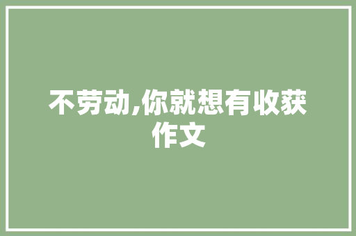 淄博网站SEO优化,助力企业提升在线竞争力