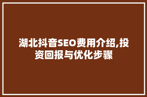 湖北抖音SEO费用介绍,投资回报与优化步骤