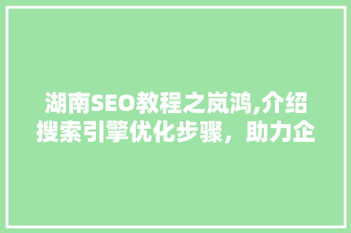 湖南SEO教程之岚鸿,介绍搜索引擎优化步骤，助力企业提升在线竞争力