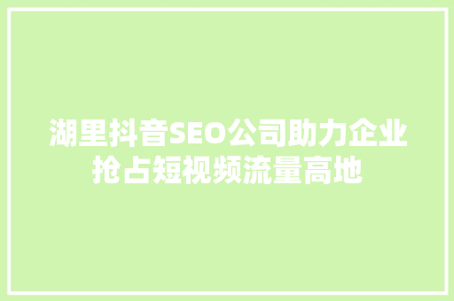 湖里抖音SEO公司助力企业抢占短视频流量高地