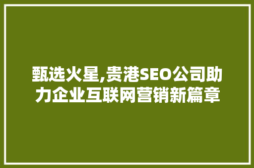 甄选火星,贵港SEO公司助力企业互联网营销新篇章