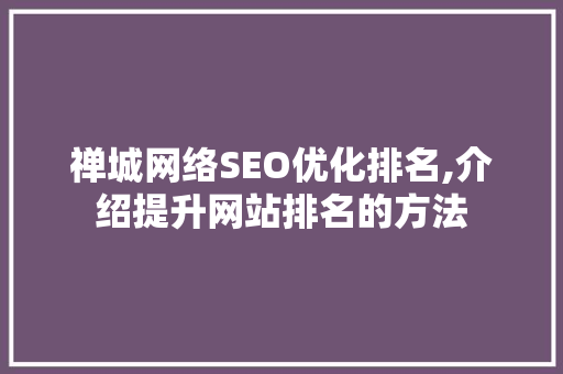 禅城网络SEO优化排名,介绍提升网站排名的方法