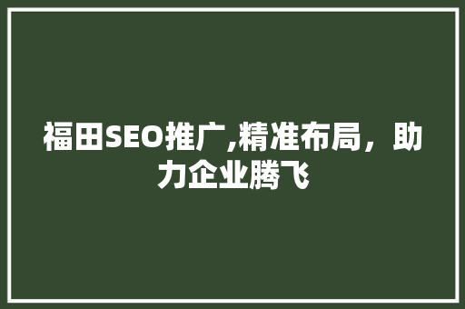 福田SEO推广,精准布局，助力企业腾飞