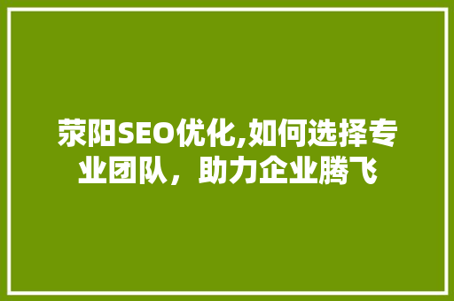 荥阳SEO优化,如何选择专业团队，助力企业腾飞