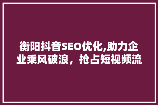 衡阳抖音SEO优化,助力企业乘风破浪，抢占短视频流量高地
