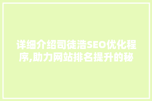 详细介绍司徒浩SEO优化程序,助力网站排名提升的秘密武器