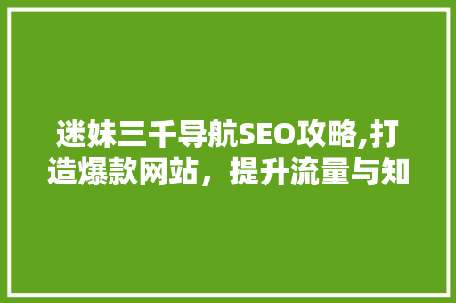 迷妹三千导航SEO攻略,打造爆款网站，提升流量与知名度