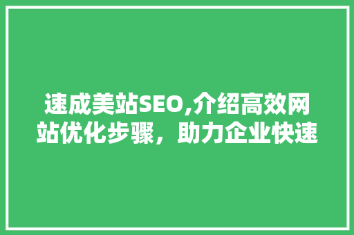 速成美站SEO,介绍高效网站优化步骤，助力企业快速提升在线知名度