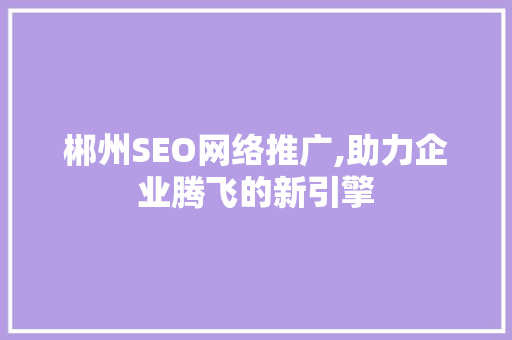 郴州SEO网络推广,助力企业腾飞的新引擎