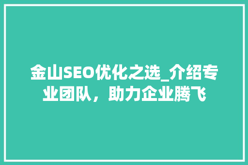 金山SEO优化之选_介绍专业团队，助力企业腾飞