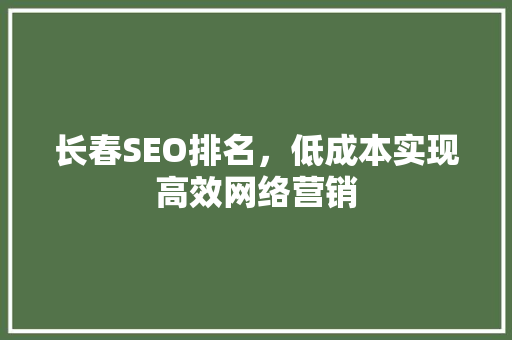长春SEO排名，低成本实现高效网络营销