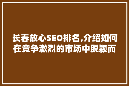 长春放心SEO排名,介绍如何在竞争激烈的市场中脱颖而出